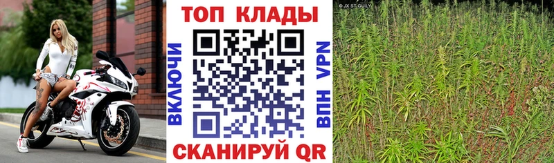 Как найти закладки Чебоксары СОЛЬ  БУТИРАТ  COCAIN  Гашиш  Каннабис  Меф мяу мяу 