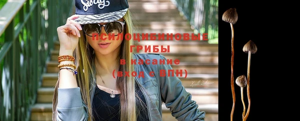 гашик Алзамай