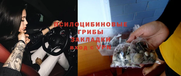 прущие грибы Алексеевка