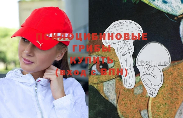 гашик Алзамай