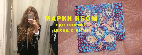 прущие грибы Алексеевка