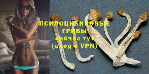 прущие грибы Алексеевка