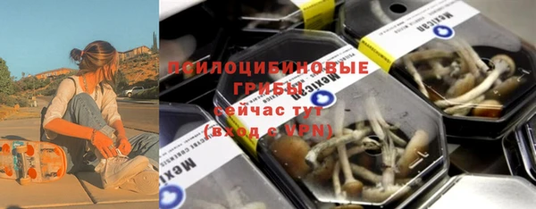 прущие грибы Алексеевка